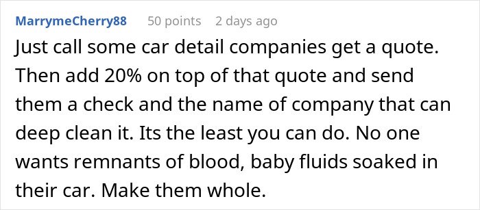Comment about car detailing and cleaning blood and baby fluids after a woman gives birth in friends' car.