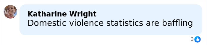 Comment about domestic violence statistics, shown in a social media post by Katharine Wright.