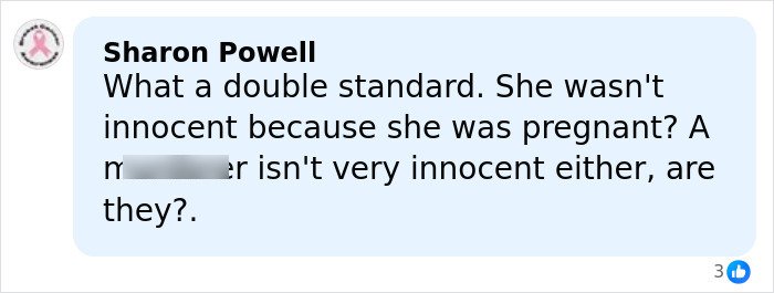 Facebook comment criticizing double standards related to a man admitting charges in pregnant sister’s homicide case.