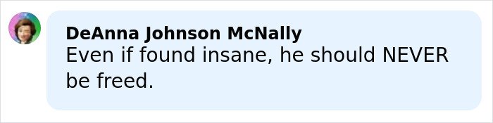 Comment from DeAnna Johnson McNally expressing that a man admitting horrific charges over pregnant sister’s homicide should never be freed.