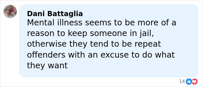 Comment by Dani Battaglia discussing mental illness and repeat offenders in jail, related to charges over pregnant sister’s homicide.