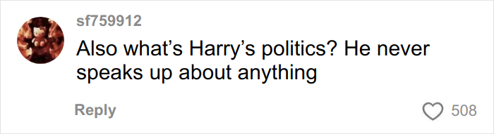 User comment about Harry Styles’ politics on social media, expressing frustration about his silence on issues.