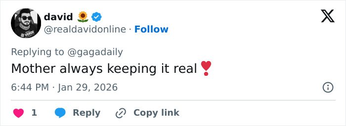 Tweet screenshot from david praising Lady Gaga, highlighting her bold ICE speech and authenticity during concert moment.