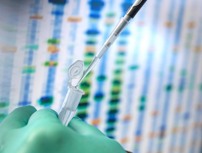 Gloved hand using a pipette to transfer liquid into a small tube with DNA test results blurred in the background.