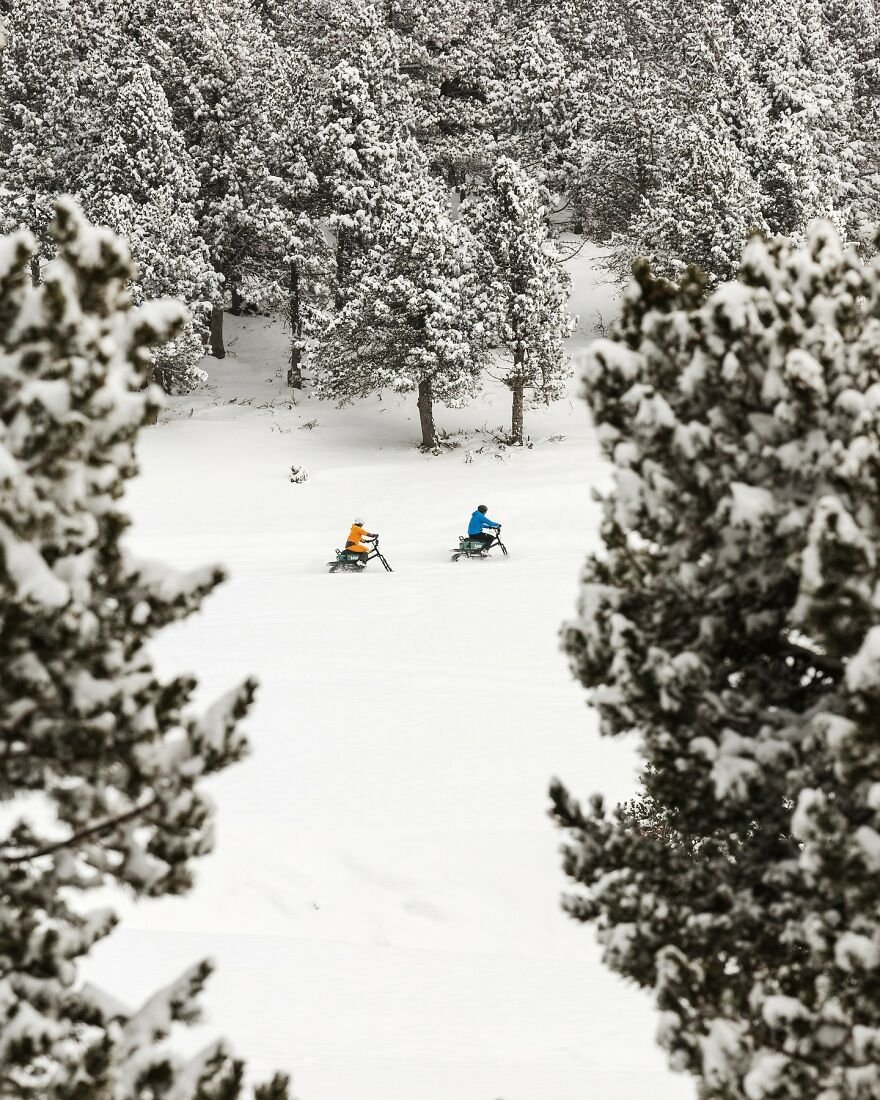 Two people riding snowmobiles through a snowy forest, highlighting nations setting new global standard for paid leave.