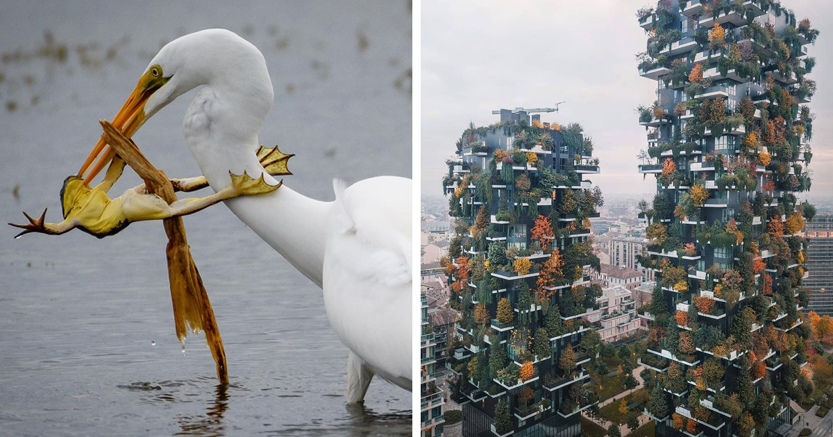 Top 29 Most Stunning Photos From The National Geographic Instagram Photography Contest