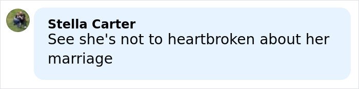 Comment from Stella Carter reading See she's not too heartbroken about her marriage, related to Amy Schumer bikini photos backlash.