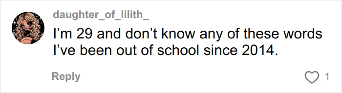 Screenshot of a social media comment from a user saying they don't know the overused slang words experts want to banish in 2026.