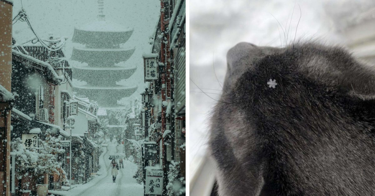 132 Photos Of Snowy Places That Look Straight Out Of A Fairytale