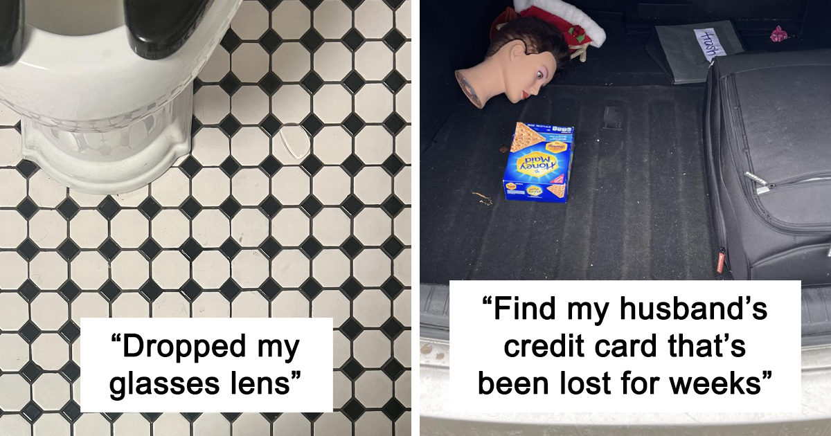 ‘When You See It’: 28 Perfectly Camouflaged Things That Take Ages To Find