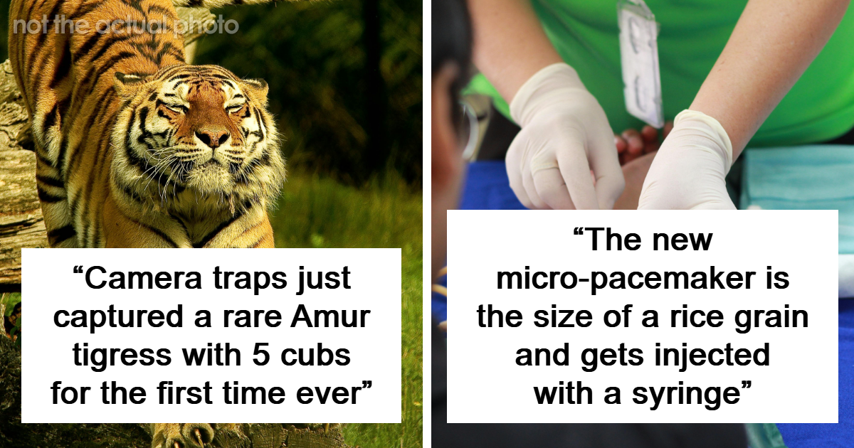 “Lingering Knowledge”: 93 Intriguing Facts That Are Hard To Forget