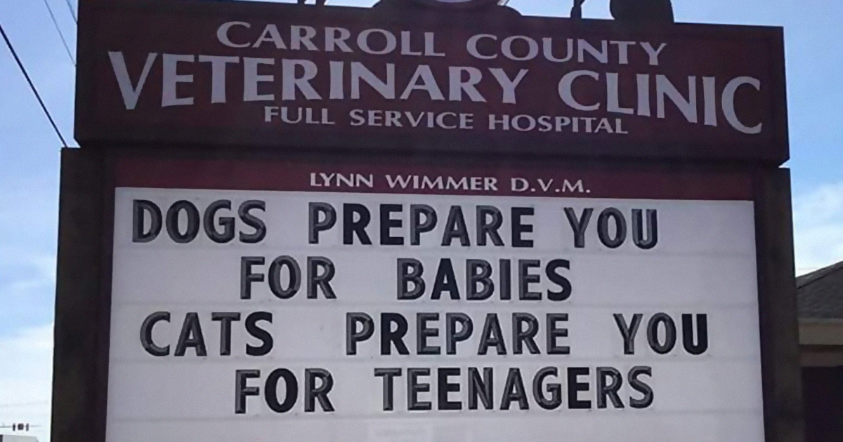 29 Of The Funniest Outdoor Signs From This Vet Clinic That Dad Joke Lovers Will Appreciate