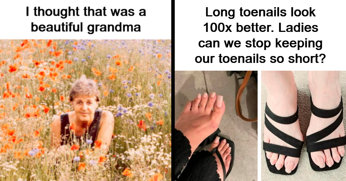 33 Funny Random Memes That Are Perfect To Scroll When You’re In A Slump