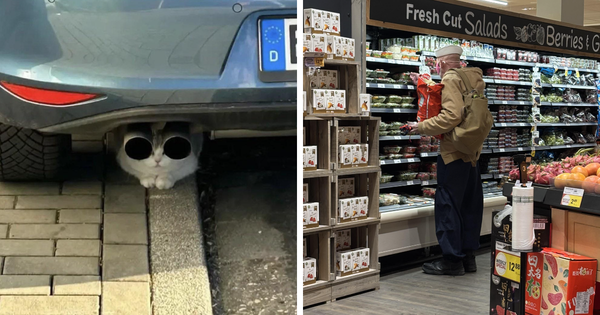55 Funny Pictures From 2025 That Perfectly Capture The Weirdness Of Last Year