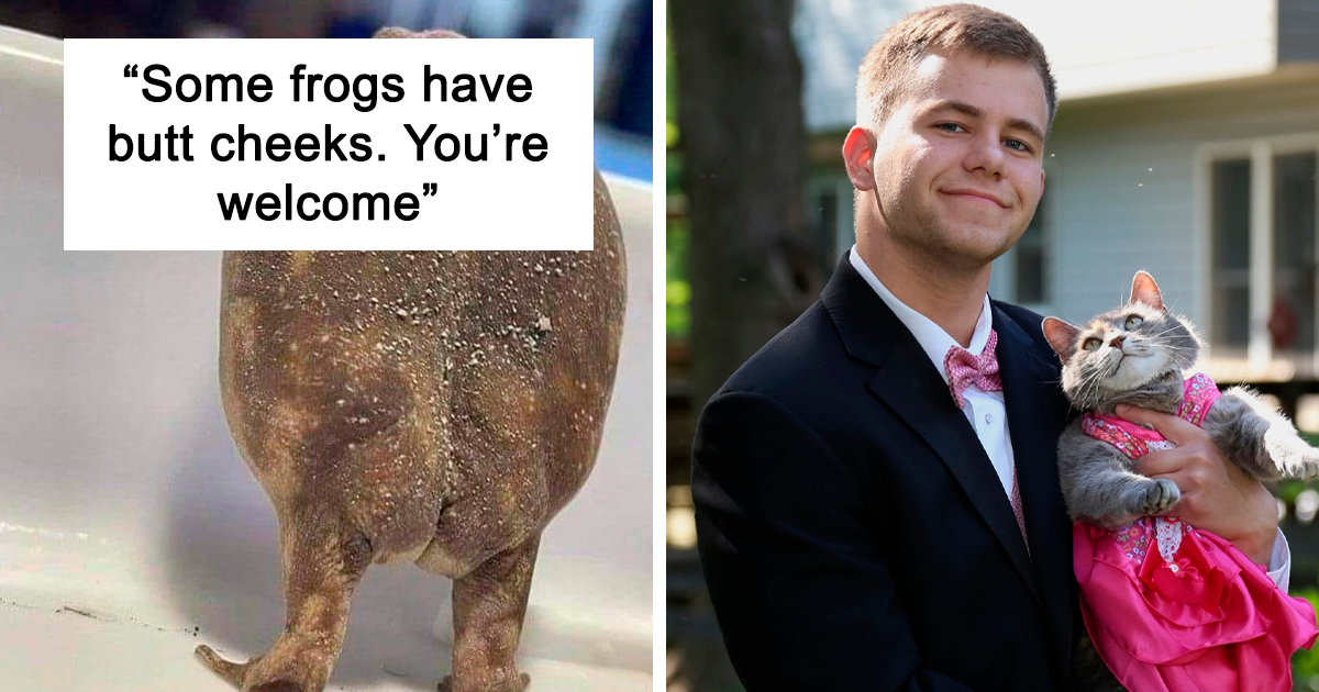 46 Wholesome Pics To Heal Your Soul That Are Heckin’ Awesome