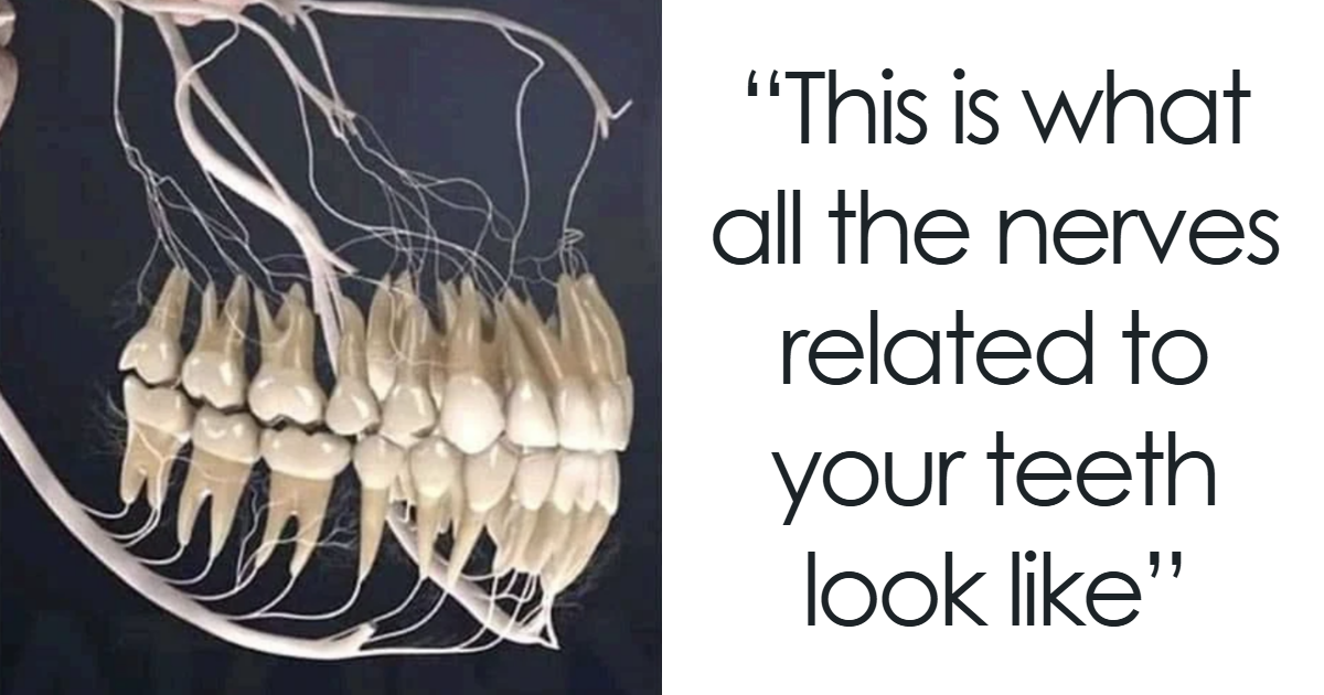 “Interesting But Creepy”: 30 Photos That Might Fascinate And Disturb You (New Pics)