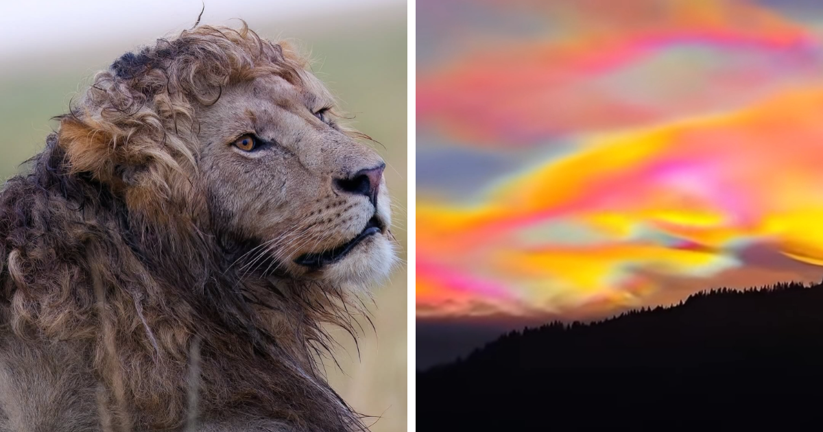42 Interesting Pics That Have An Even More Intriguing Story