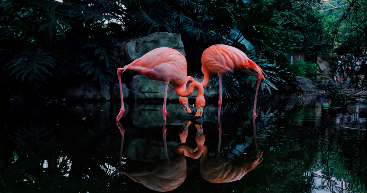 iPhone Photography Award Winners Once Again Proved That Striking Photos Can Be Taken Without An Expensive Camera (45 Pics)