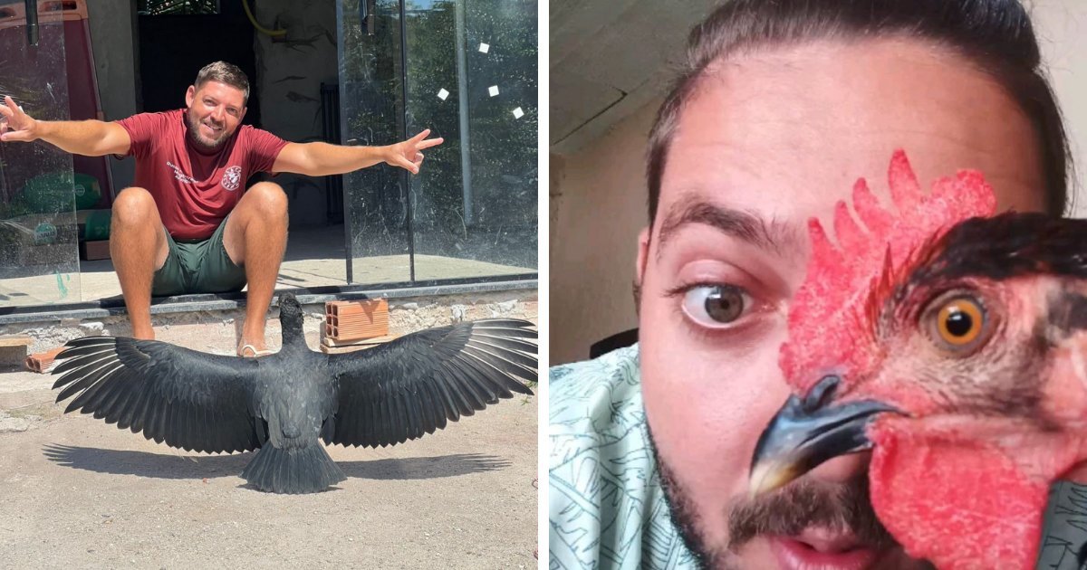 This Wild Vulture Bonded With A Human So Closely, Viewers Joke He’s “A Dog With Wings” (23 Pics)
