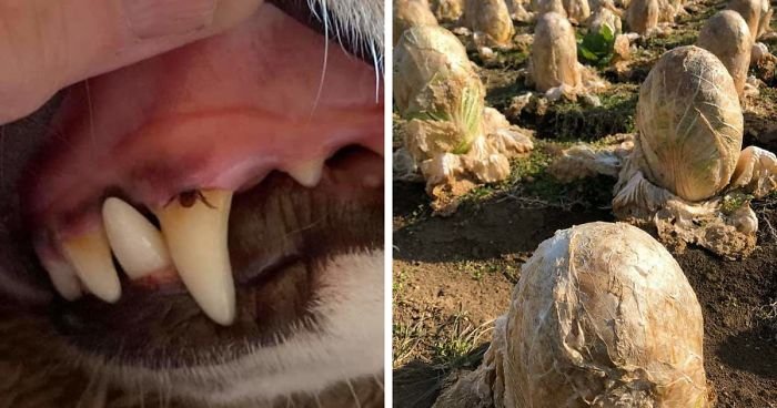 30 Times Mother Nature Proved To Be Scary As hell
