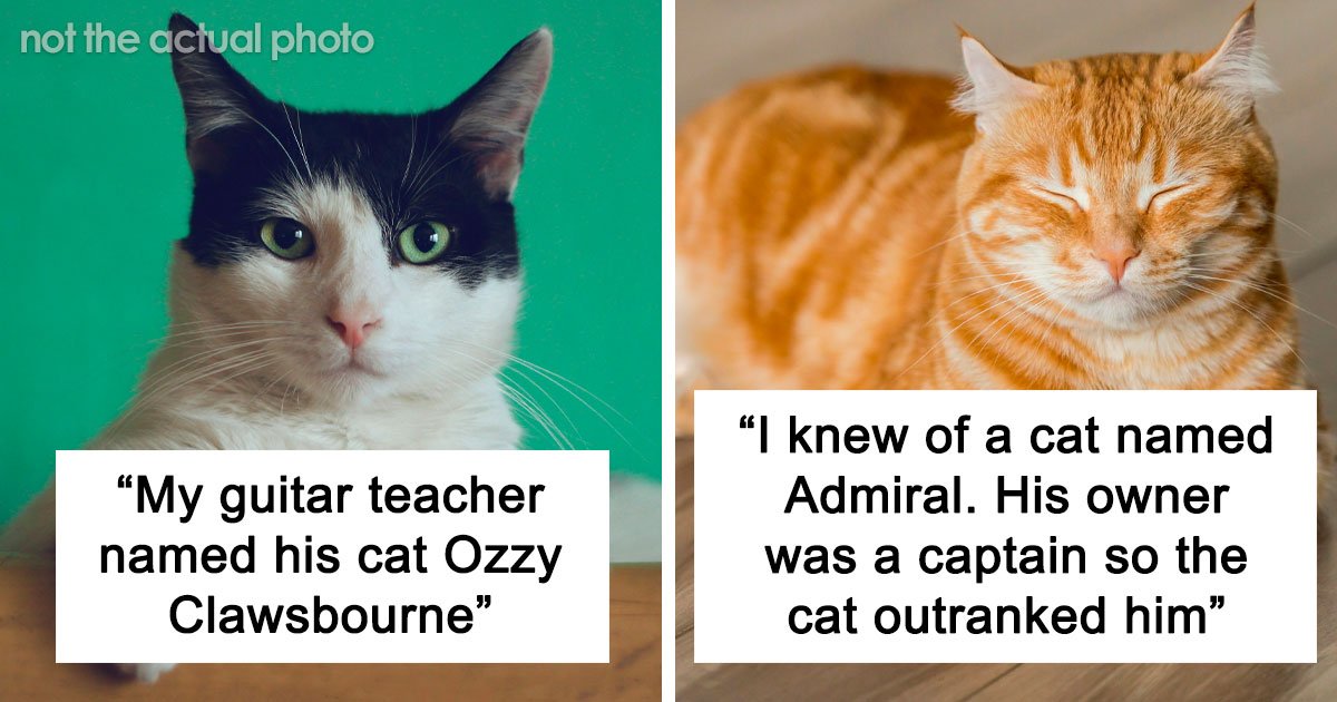 80 Pet Names That Are So Weird And Funny, They’re Actually Brilliant