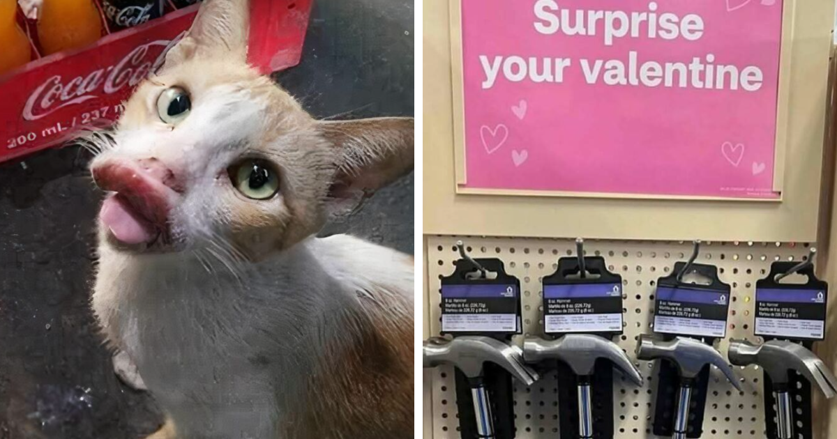 “Amazing Humor Daily”: 58 Random Pics That Are Funnier Than They Should Be