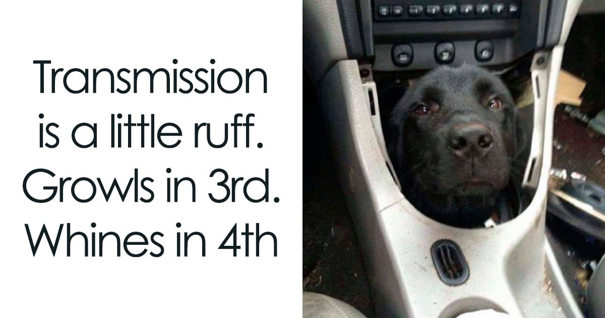92 Random Memes That Had No Right To Be This Funny