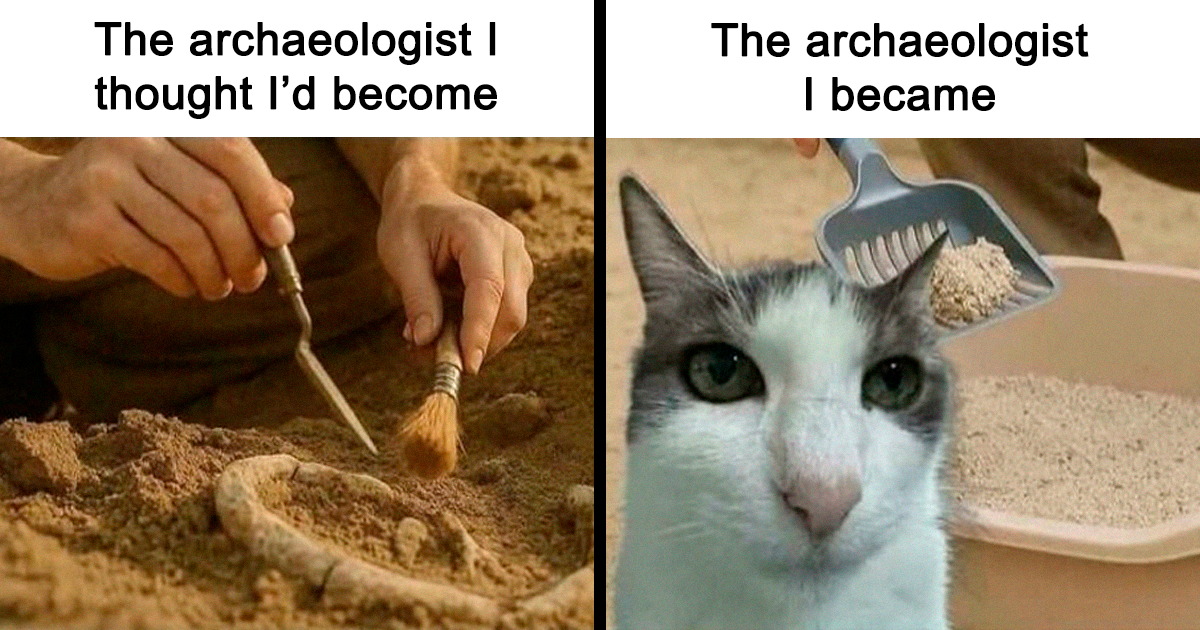 If Cat Memes Are Your Happy Place, These 80 Hilarious Posts Are Calling Your Name