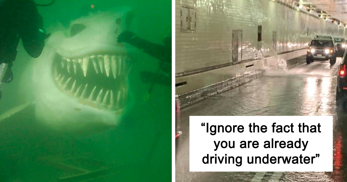 28 Of The Scariest Pics That Will Make You Want To Swim Away