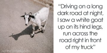 53 Times People Saw Something Unexplainable And They’re Convinced It Wasn’t A Dream