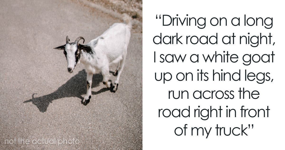 53 Times People Saw Something Unexplainable And They’re Convinced It Wasn’t A Dream