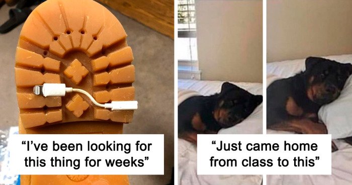 35 Times People Faked Pics For Internet Points And Got Called Out On This Online Group