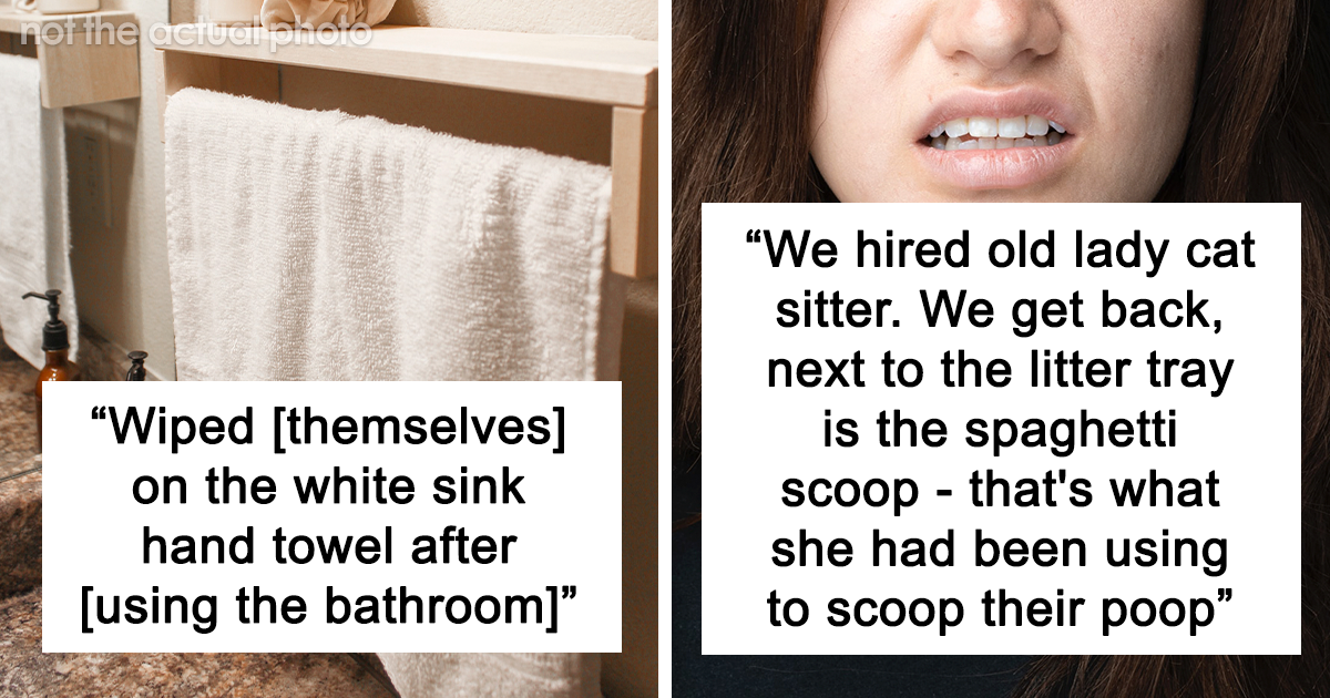 28 Incredibly Rude Or Weird Guests Who Made People Regret Ever Inviting Them To Their Homes