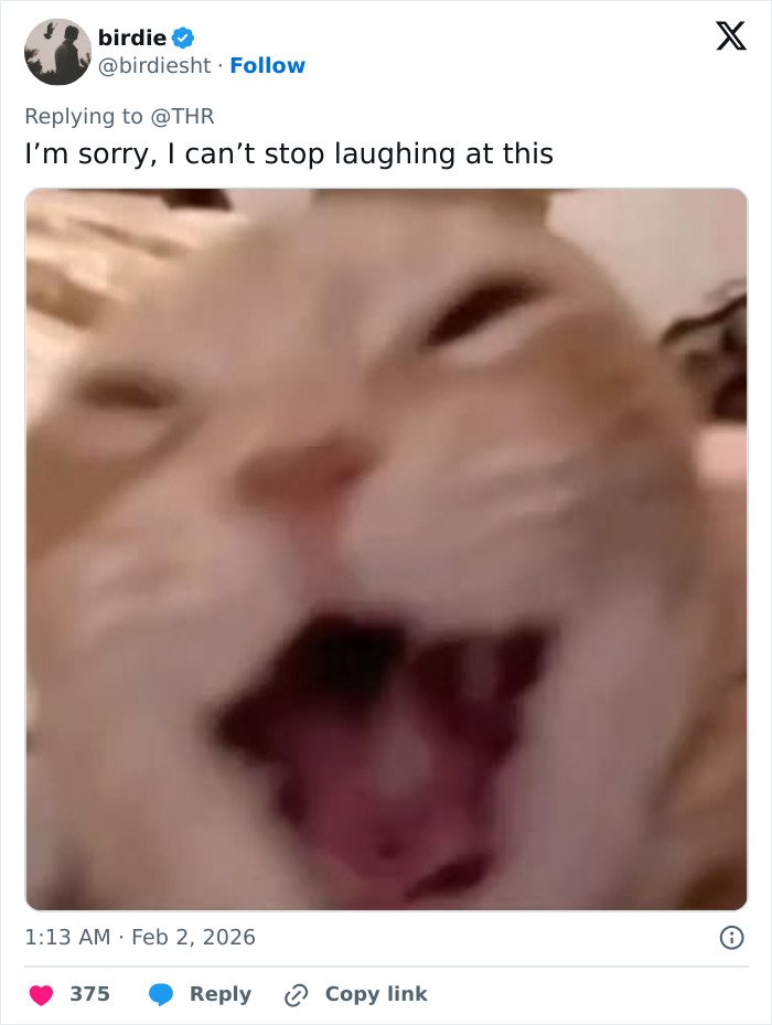 Close-up of a cat with mouth open, caption referencing Jamie Foxx&rsquo;s Grammy red carpet weird moment with Chappell Roan.