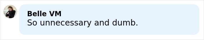 User comment on social media criticizing Sabrina Carpenter's 2026 Grammys performance as unnecessary and dumb.