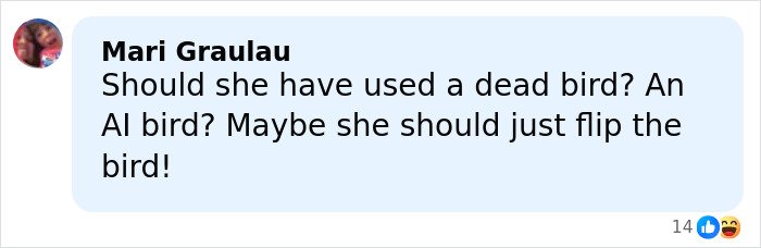 Comment criticizing Sabrina Carpenter&rsquo;s 2026 Grammys performance calling it stupid and cruel with sarcastic suggestions.