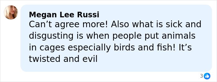 Comment by Megan Lee Russi criticizing animal cages, highlighting the controversy surrounding Sabrina Carpenter Grammys performance.