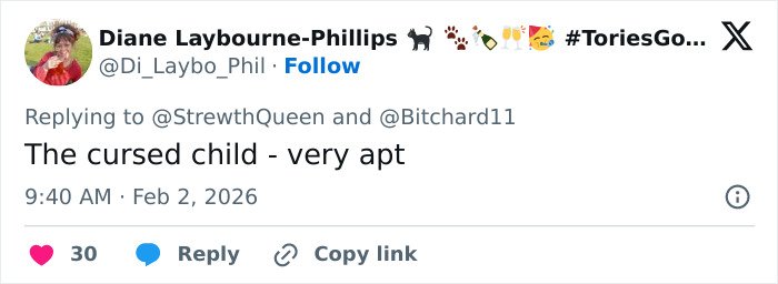Screenshot of a tweet referencing the Epstein doc sparking controversy among Harry Potter fans online.