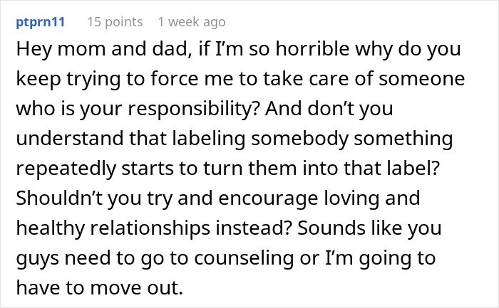 Reddit user expressing frustration about family expectations and the impact of labeling in sister family parenting drama.