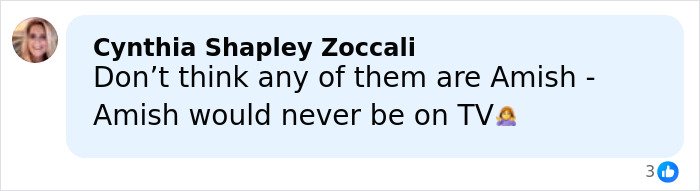 Comment about former adult star joining Amish community, questioning Amish presence on TV, with profile photo.