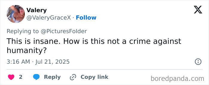 Screenshot of a social media comment reacting to North Korea publicly executing citizens caught watching Squid Game.