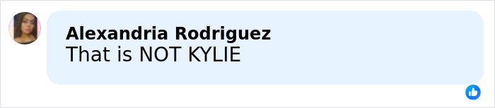 Facebook comment by Alexandria Rodriguez stating that a person shown is not Kylie, related to Timoth&eacute;e Chalamet appearance conspiracy theories.