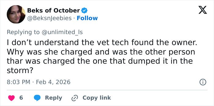 Tweet discussing confusion over vet tech charged after rescuing abandoned dog during snowstorm and questions about the owner.