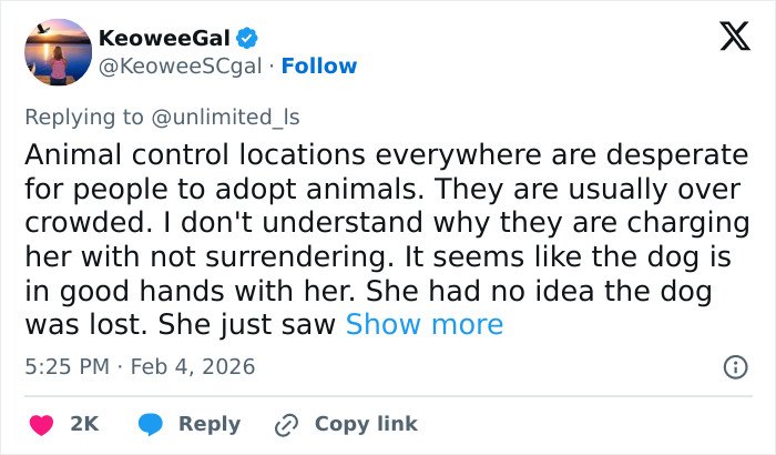 Tweet text discussing animal control and vet tech charged after rescuing an abandoned dog during a snowstorm.
