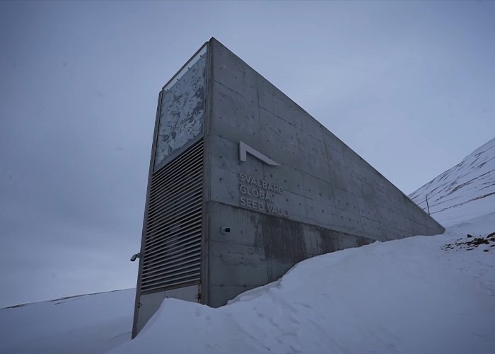 Entrance of the Svalbard Global Seed Vault on the darkest island covered in snow, highlighting surprising resident life facts.