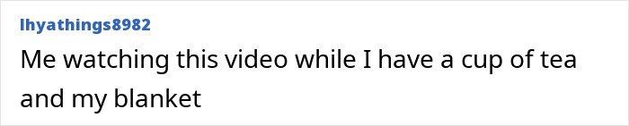 User comment expressing comfort while watching a content creator reveal surprising facts about the world’s darkest island.