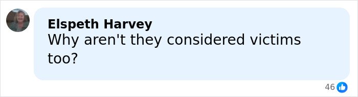 Comment from Elspeth Harvey questioning why they are not considered victims in Jeffrey Epstein files discussion.