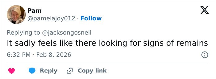 Twitter comment by Pam discussing signs of remains related to Nancy Guthrie's disappearance investigation.