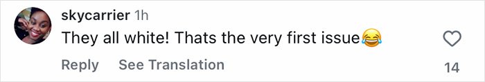 Screenshot of a social media comment discussing diversity in the portrayal of the perfect man and woman across generations.