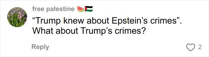Comment by free palestine questioning Trump's crimes related to Epstein investigation in an online discussion.